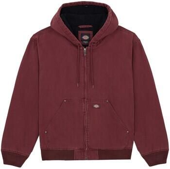 Dickies Sweater HILHAM HOODED JKT DK0A87O5L161-ANDORRA