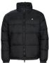 Dickies Waldenburg Pufferjassen Kleding black maat: L beschikbare maaten:S M L XL XXL - Thumbnail 1