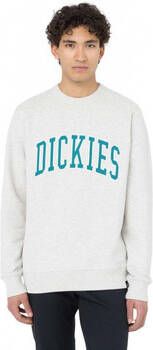 Dickies Sweater Aitkin sweatshirt