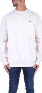 Dickies Sweater DK0A4XCE
