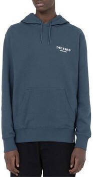 Dickies Sweater DK0A4Y6LAF01
