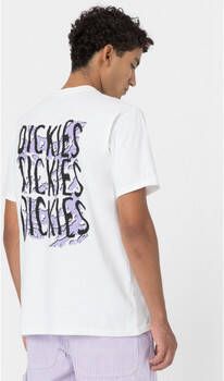 Dickies T-shirt Creswell tee ss