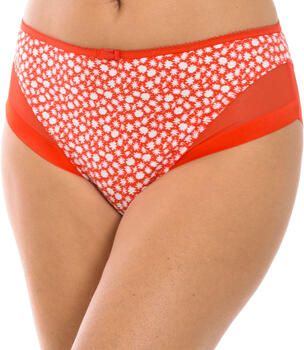 Dim Slips 00A63