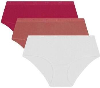 Dim Slips X3
