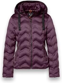 District Blazer Snowbird