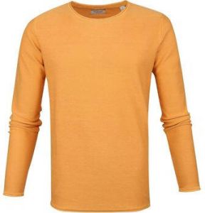 Dstrezzed Sweater Cooper Acid Trui Oranje