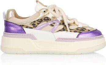 Dwars Broek B11387 Walton Leo Purple