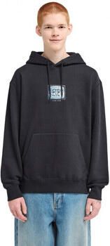 Element Capuchon sweaters Digit