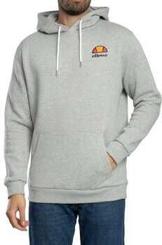 Ellesse Capuchon sweaters Logo trui met capuchon