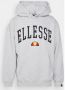 Ellesse Capuchon Grijs Heren - Thumbnail 1