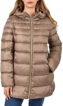 Emme Marella Donsjas GINSENG