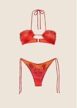 F * K Bikini