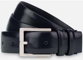 Fabrizio Mancini Riem 0001 ALPV DARIO-BLU