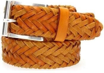 Fabrizio Mancini Riem 7411 NORVEGIA-GIALLO