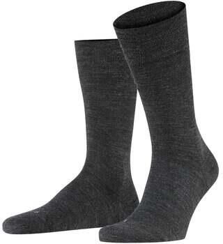 Falke Sokken 4031309468372