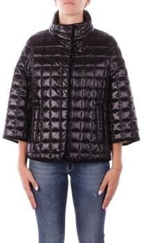 Fay Windjack NAW22513490