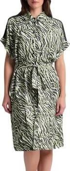 Freeman T.Porter Jurk Raffia Tigerly