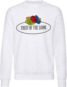Fruit Of The Loom Sweater 12202A