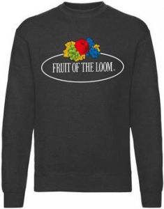Fruit Of The Loom Sweater SS04R