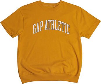 Gap Sweater 636393-002