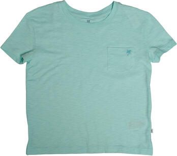 Gap T-shirt Korte Mouw 793074-007