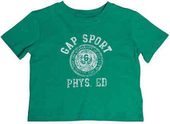 Gap T-shirt Korte Mouw 793083-003