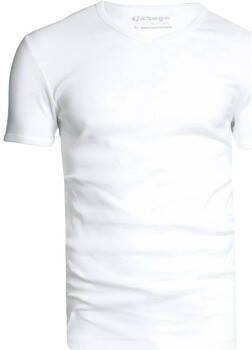 Garage T-shirt Basic Wit V-Hals