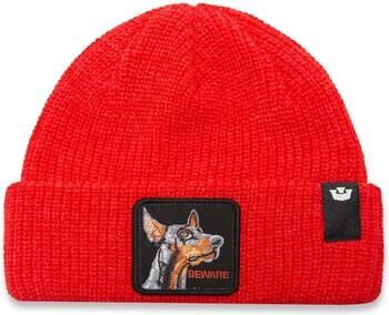 Goorin Bros Muts The Beware Dog Tall Beanie