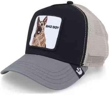 Goorin Bros Pet 101-0382VOI19