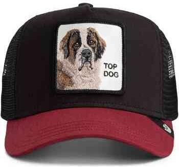 Goorin Bros Pet 101-1788VOI18