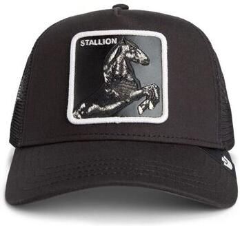 Goorin Bros Pet 101-2451-VOI-STALLION