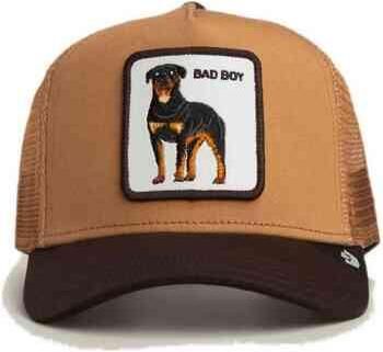 Goorin Bros Pet 101-2538-HEA02