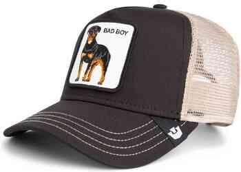 Goorin Bros Pet 101-2538-VOI01