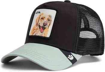 Goorin Bros Pet 1010505VOI05