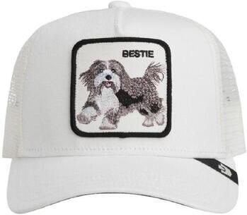 Goorin Bros Pet 201-0094 dust