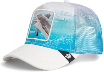 Goorin Bros Pet Dolphin in the ele t