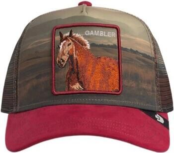Goorin Bros Pet Stallion In The Ele t