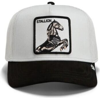 Goorin Bros Pet Suede Stallion