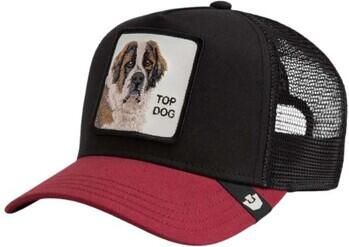 Goorin Bros Pet 101-1788VOI18 - Foto 2