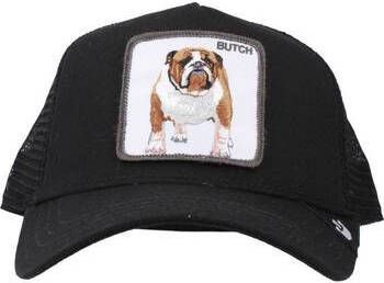 Goorin Bros Pet THE BLACK CAT