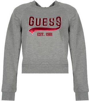 Guess Sweater W1GQ36K68I0