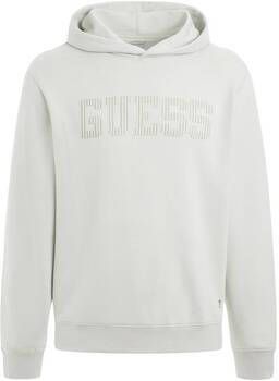Guess Sweater Sweatshirt à capuche Beau