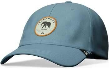 Hanukeii Pet Elephant