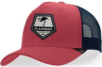 Hanukeii Pet Flamingo