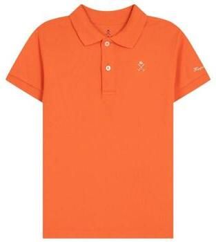 Harper And Neyer Polo Shirt Korte Mouw 1403326001 651