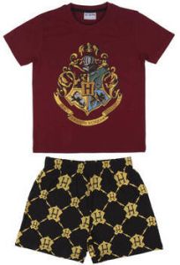 Harry Potter Pyjama's nachthemden 2200006993