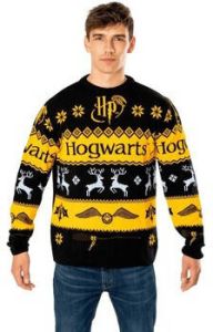 Harry Potter Sweater