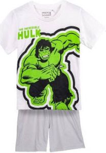 Hulk Pyjama's nachthemden 2900001331A