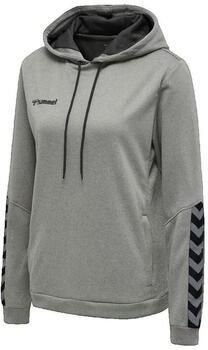 Hummel Capuchon sweaters Sweat à capuche Authentic gris