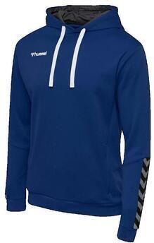 Hummel Capuchon sweaters Sweat à capuche Authentic Poly
